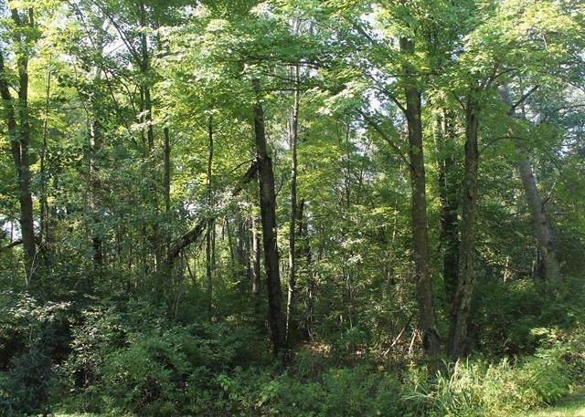 Lot 53, 3rd Avenue - Photo 1