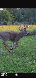 W7181 Duck Creek Avenue - Photo 85