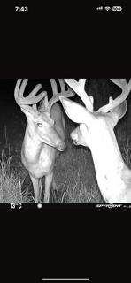 W7181 Duck Creek Avenue - Photo 86