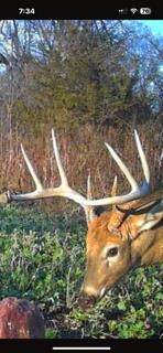 W7181 Duck Creek Avenue - Photo 87