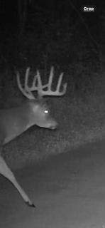 W7181 Duck Creek Avenue - Photo 88