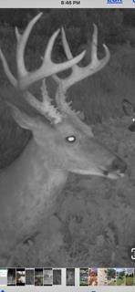 W7181 Duck Creek Avenue - Photo 89