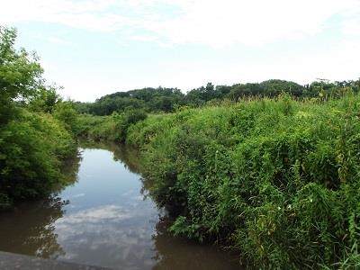 51+/- Acres Cth 0 Road - Photo 1