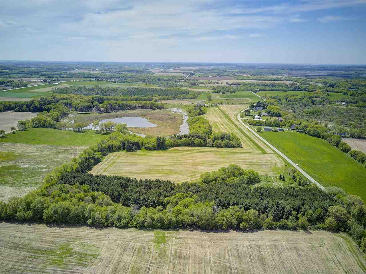 52.544 Ac Springer Rd - Photo 1