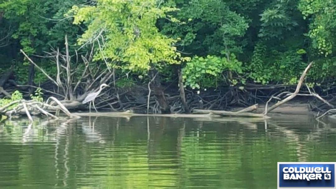 6340 Buggs Rd - Photo 1
