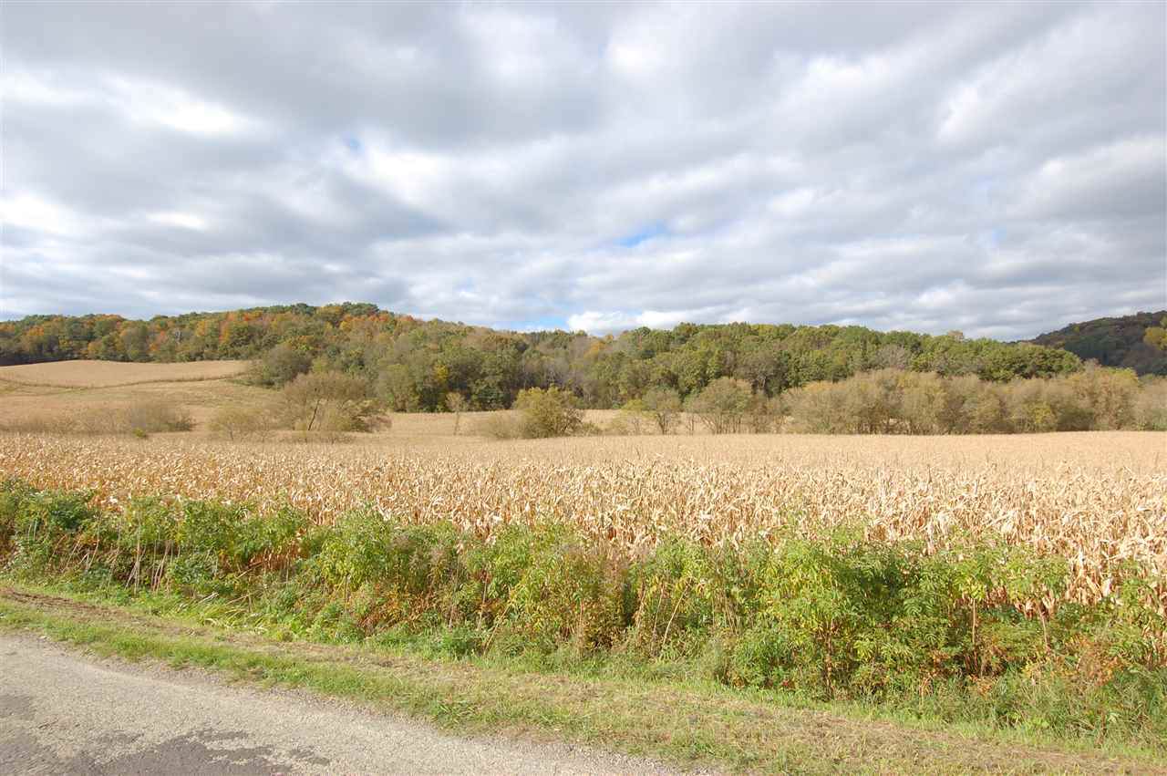 999 Mint Ln - Photo 1
