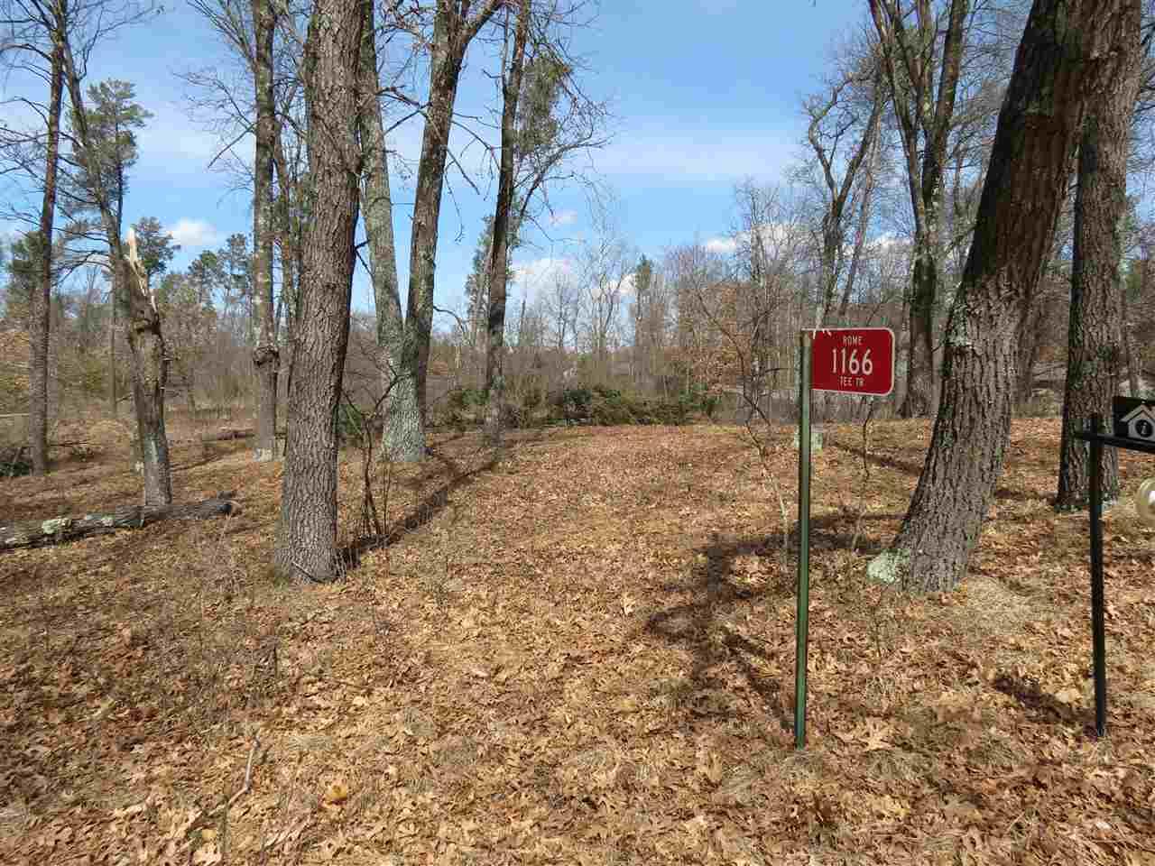 1166 Tee Tr - Photo 1