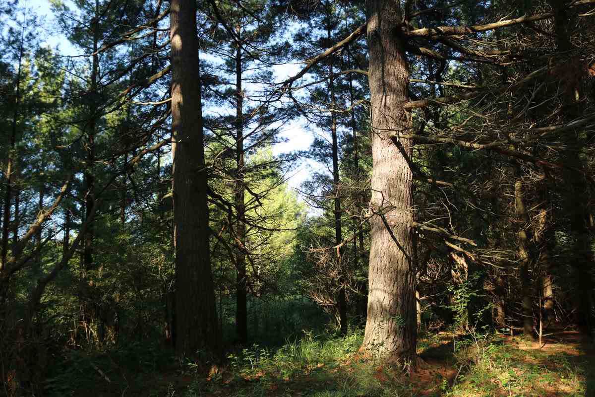 N7990 11th Rd - Photo 1