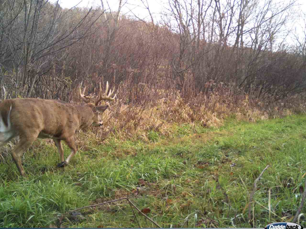 932 Ac Valley View Rd - Photo 1