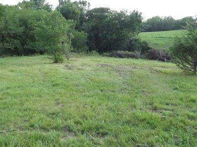 48+/- Acres Farmers Ridge Rd - Photo 1