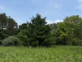 Lot 4 Church Street - Photo 1