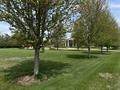 711 21st Street - Photo 2