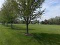 711 21st Street - Photo 4
