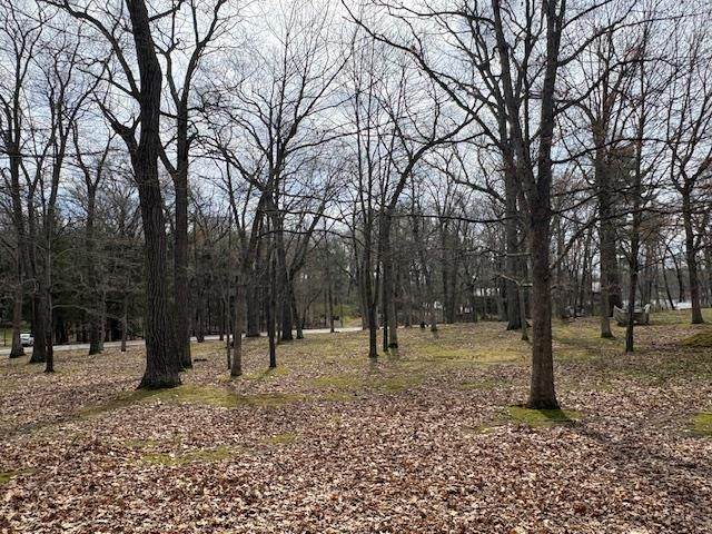 Lot 13 2nd Court - Photo 1