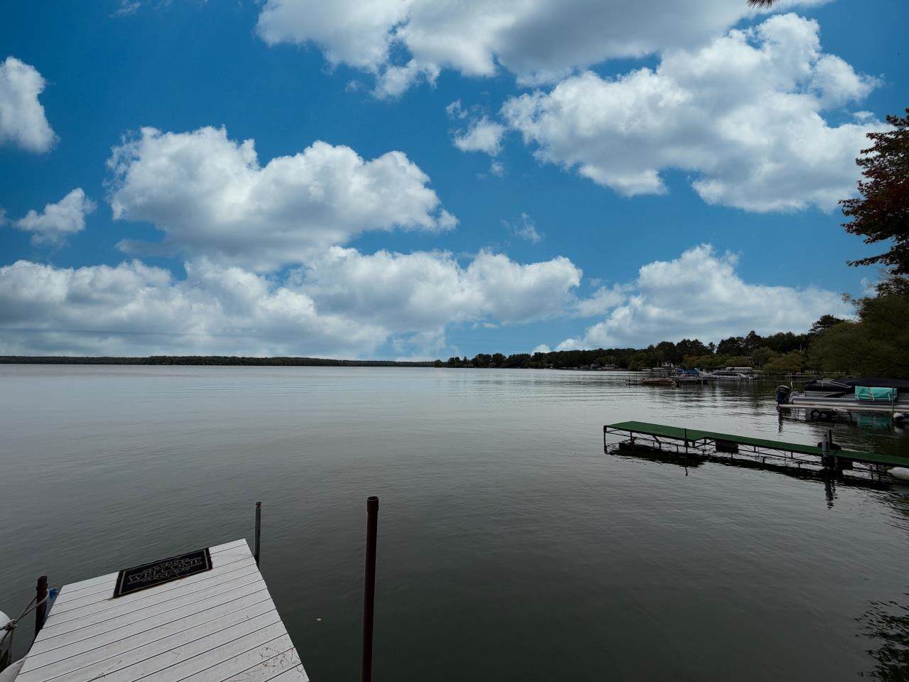 10575 Big Arbor Vitae Drive - Photo 1