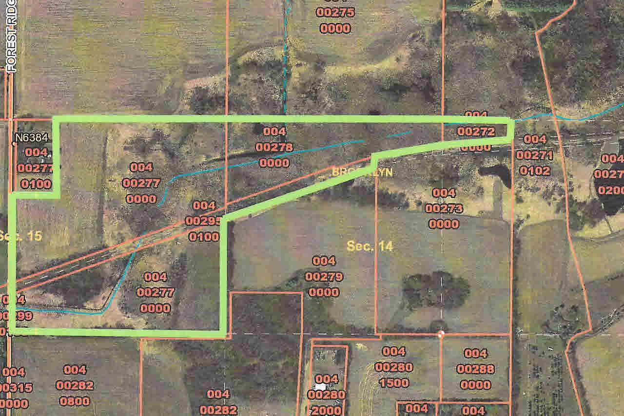 Forest Ridge Rd - Photo 1