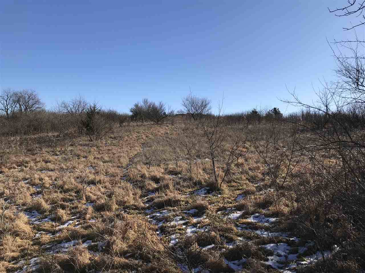 24.46 Ac Evans Quarry Rd - Photo 1