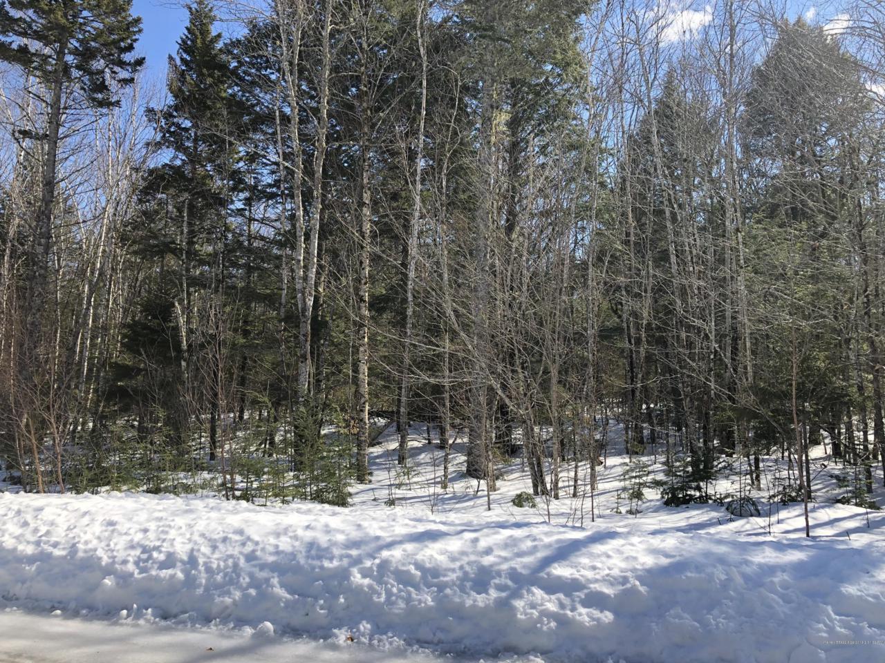 219 Sandy Acres Drive - Photo 1