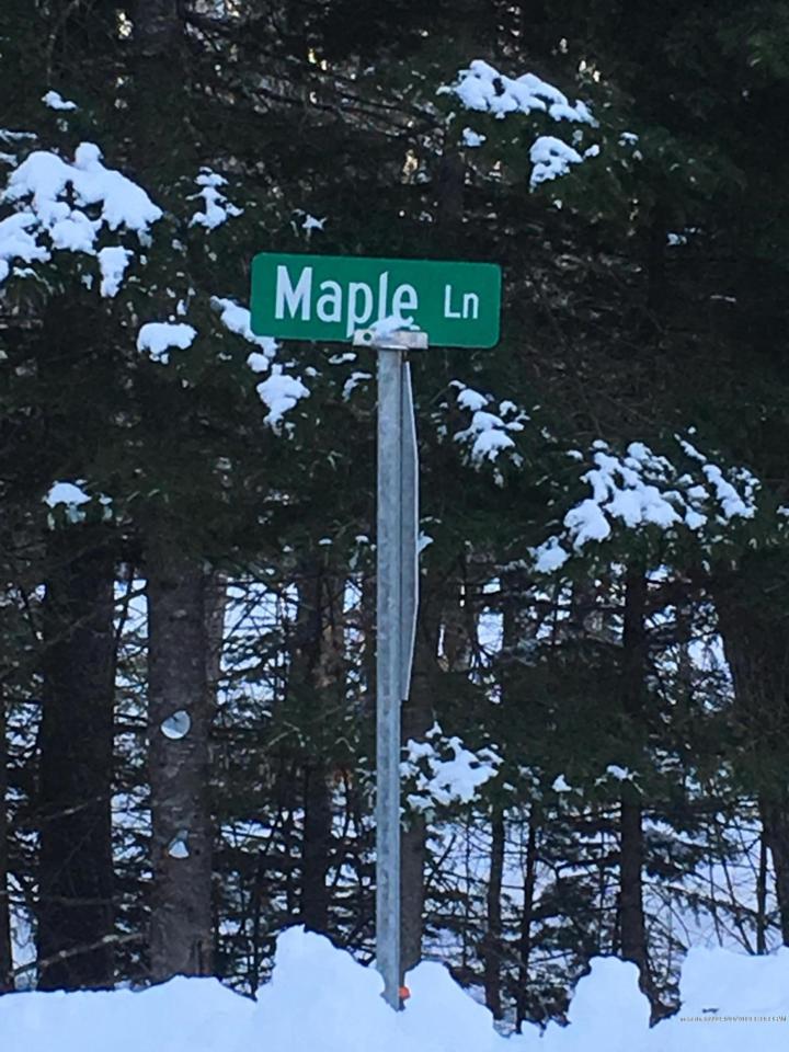 Lot 11 Maple Lane - Photo 1