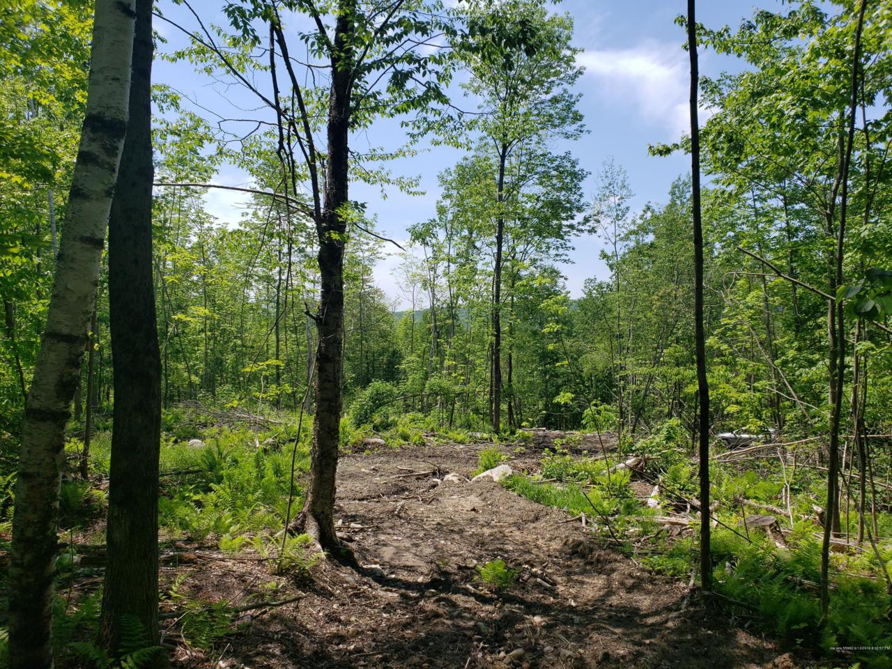 225 Music Road - Photo 1