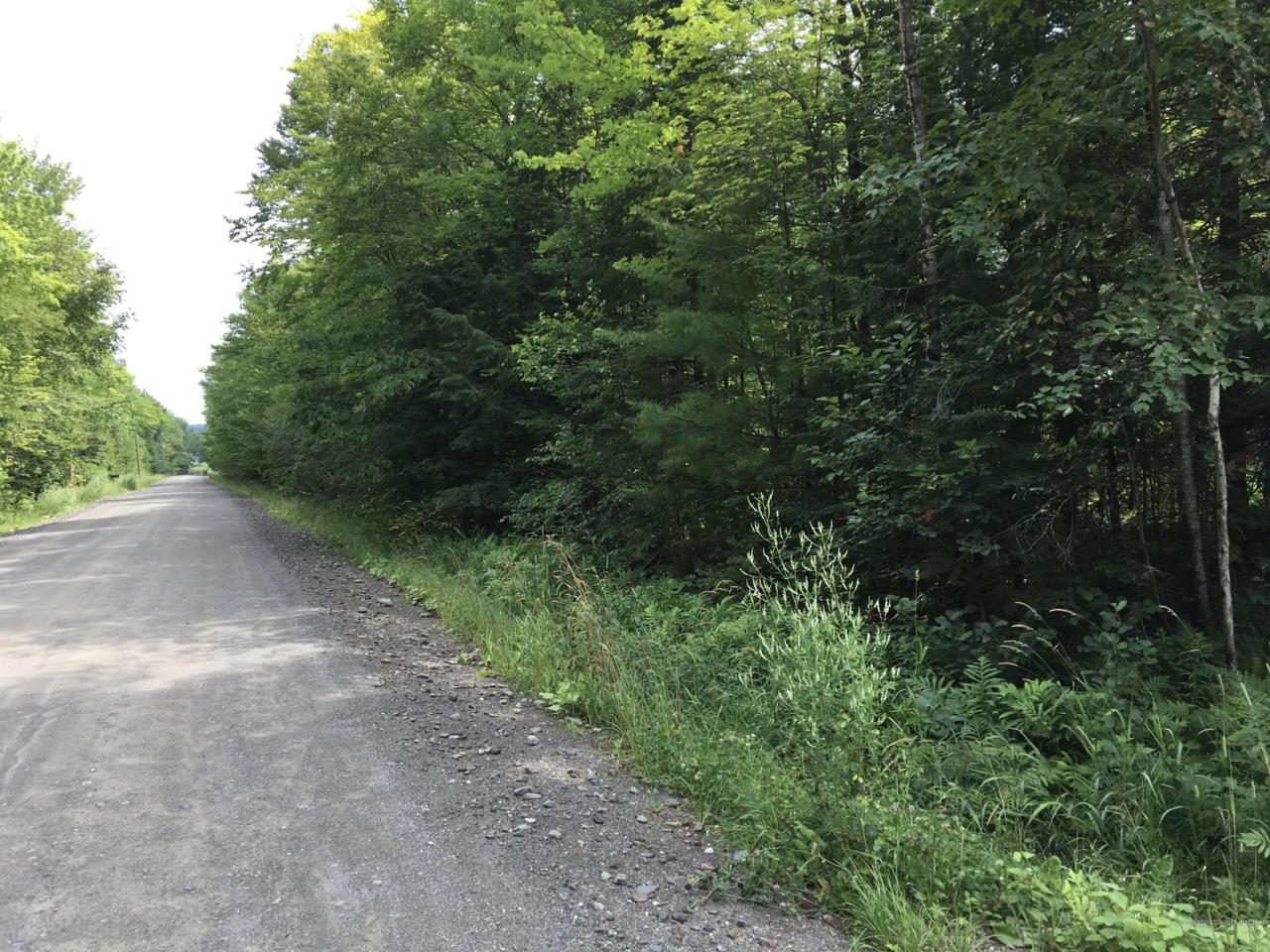 Lot 29 Merrills Mills Road - Photo 1