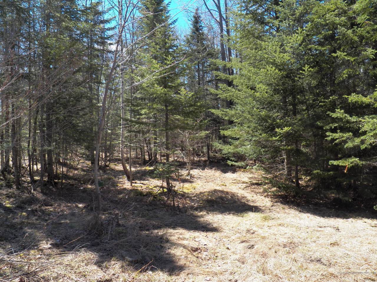 tbd Thearn Drive - Photo 1