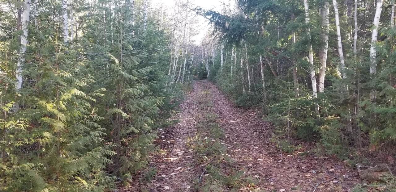 TBD Georges Pond Road - Photo 1