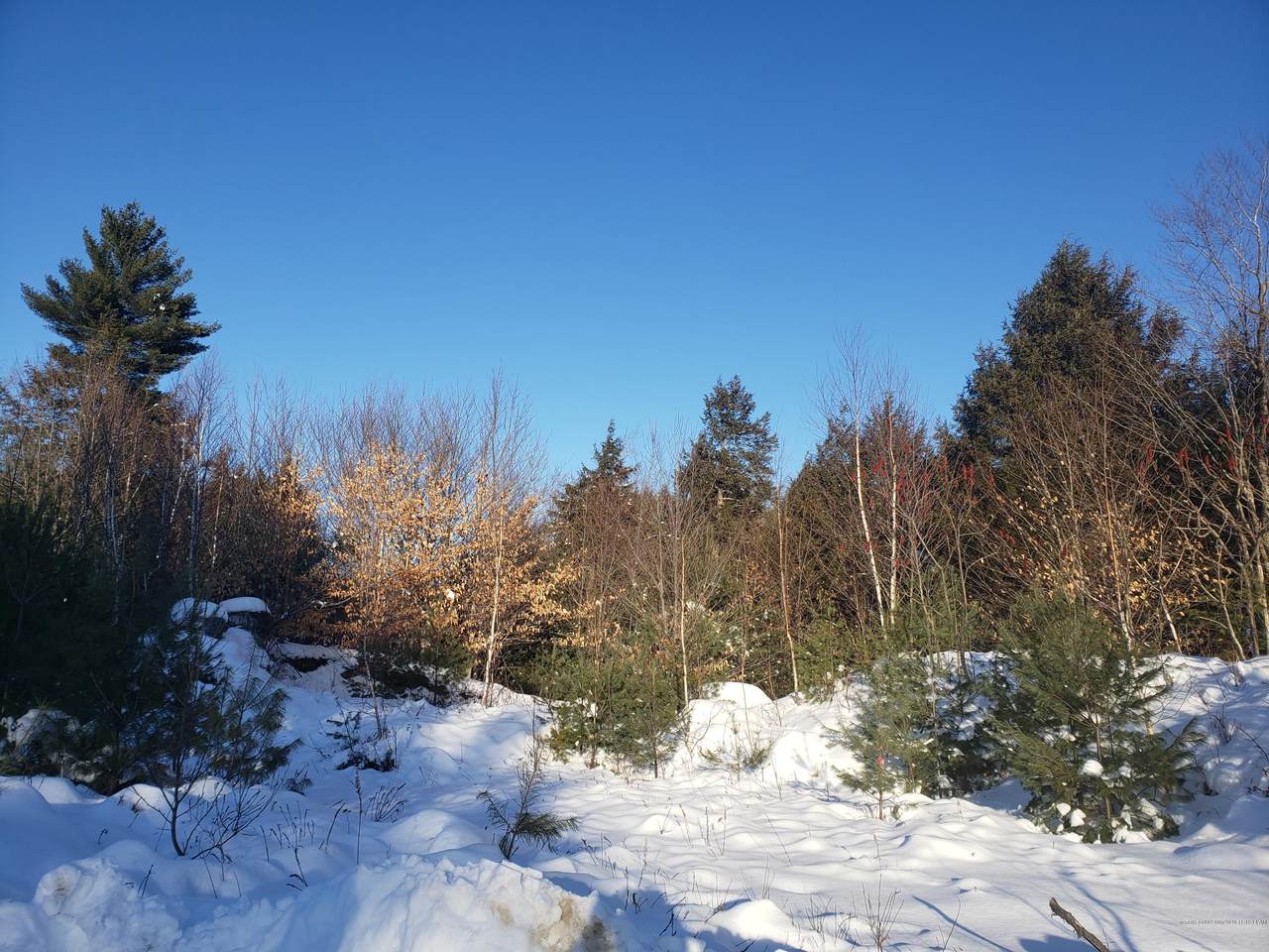 0 Buds Lane Lane - Photo 1