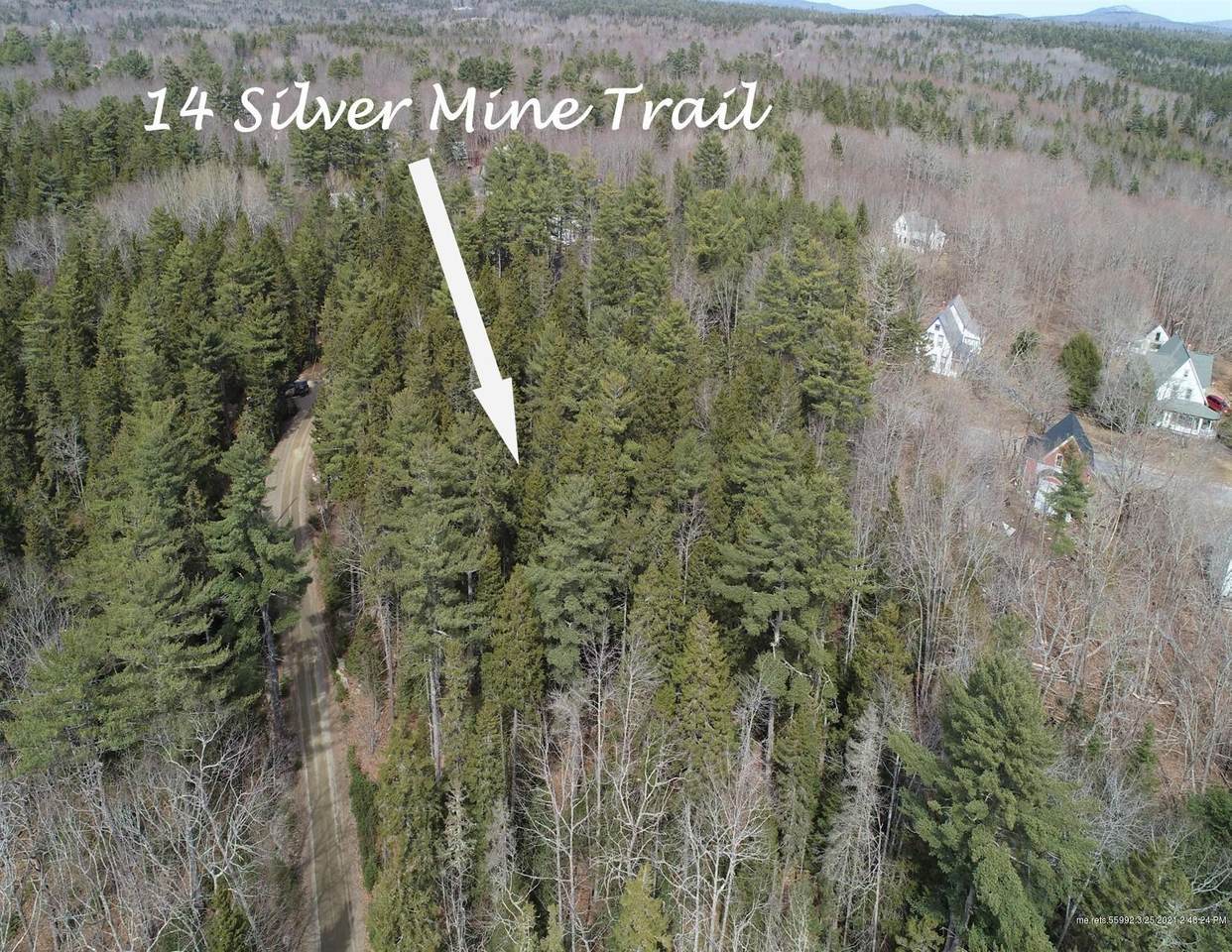 14 Silver Mine Trail - Photo 1