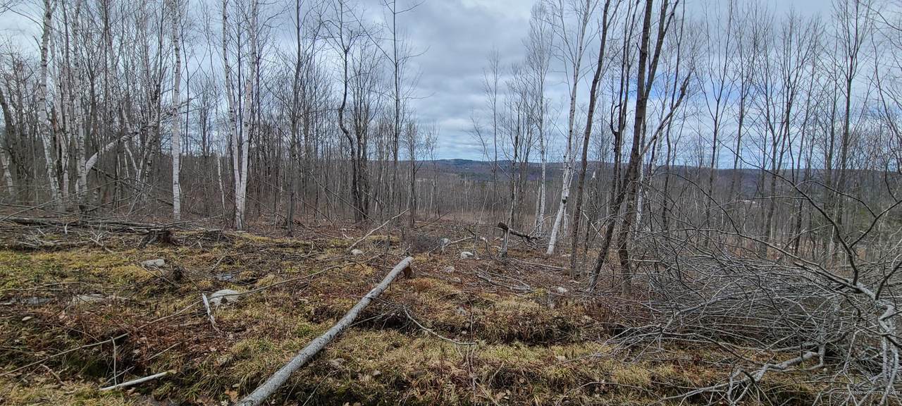 000 Crie Hill Road - Photo 1