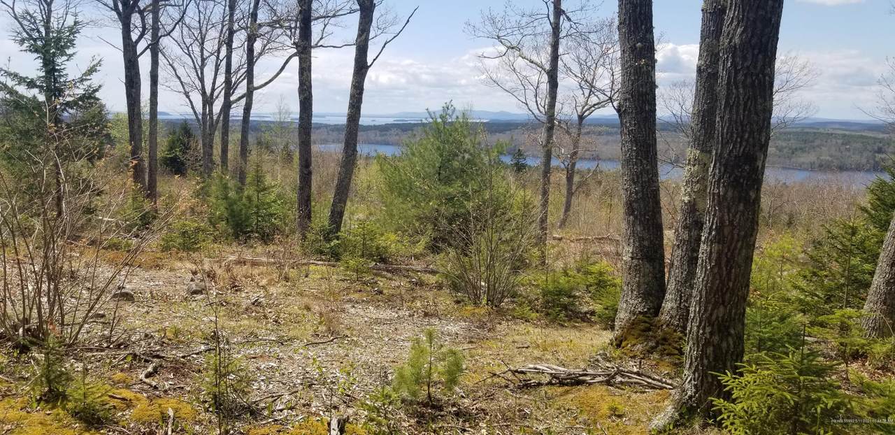 Lot 2 Acadian Oak Lane - Photo 1