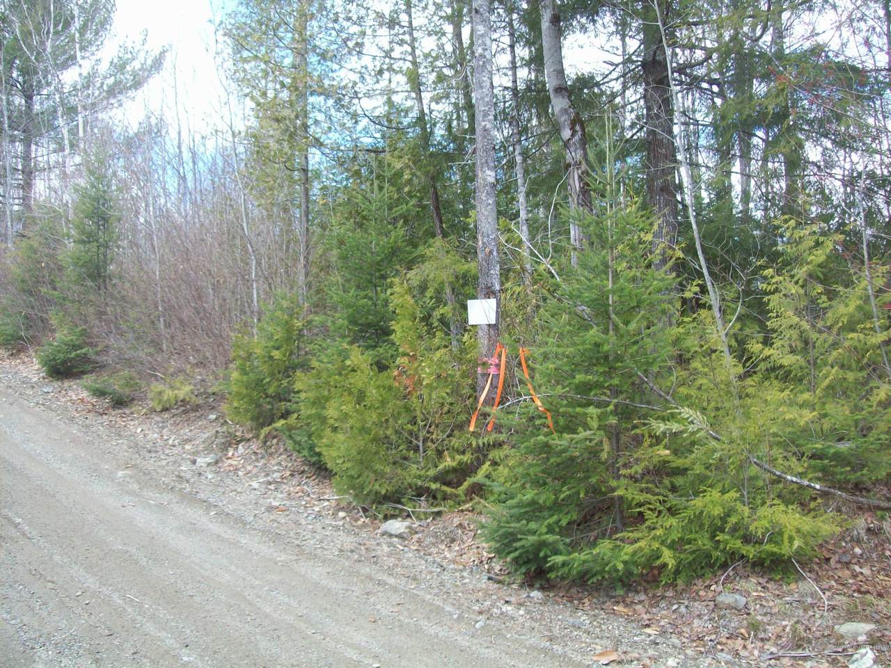 tbd Lot 3 Mcginley Road - Photo 1