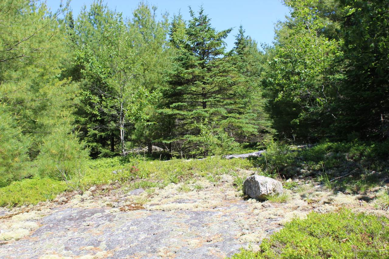 TBD Orcutt Mountain Road - Photo 1
