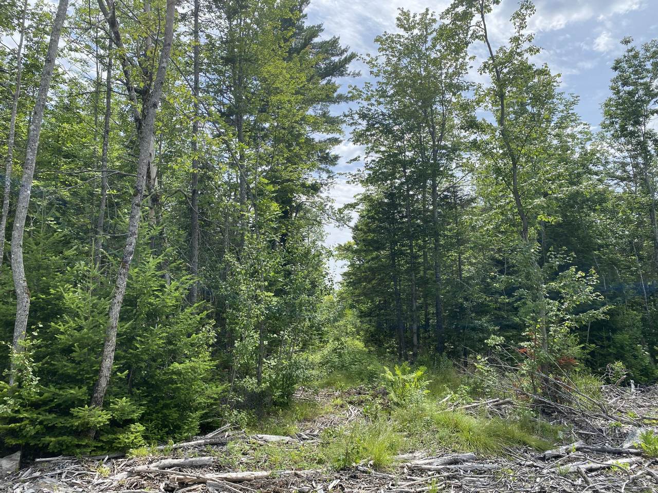 1511 Otis Road - Photo 1