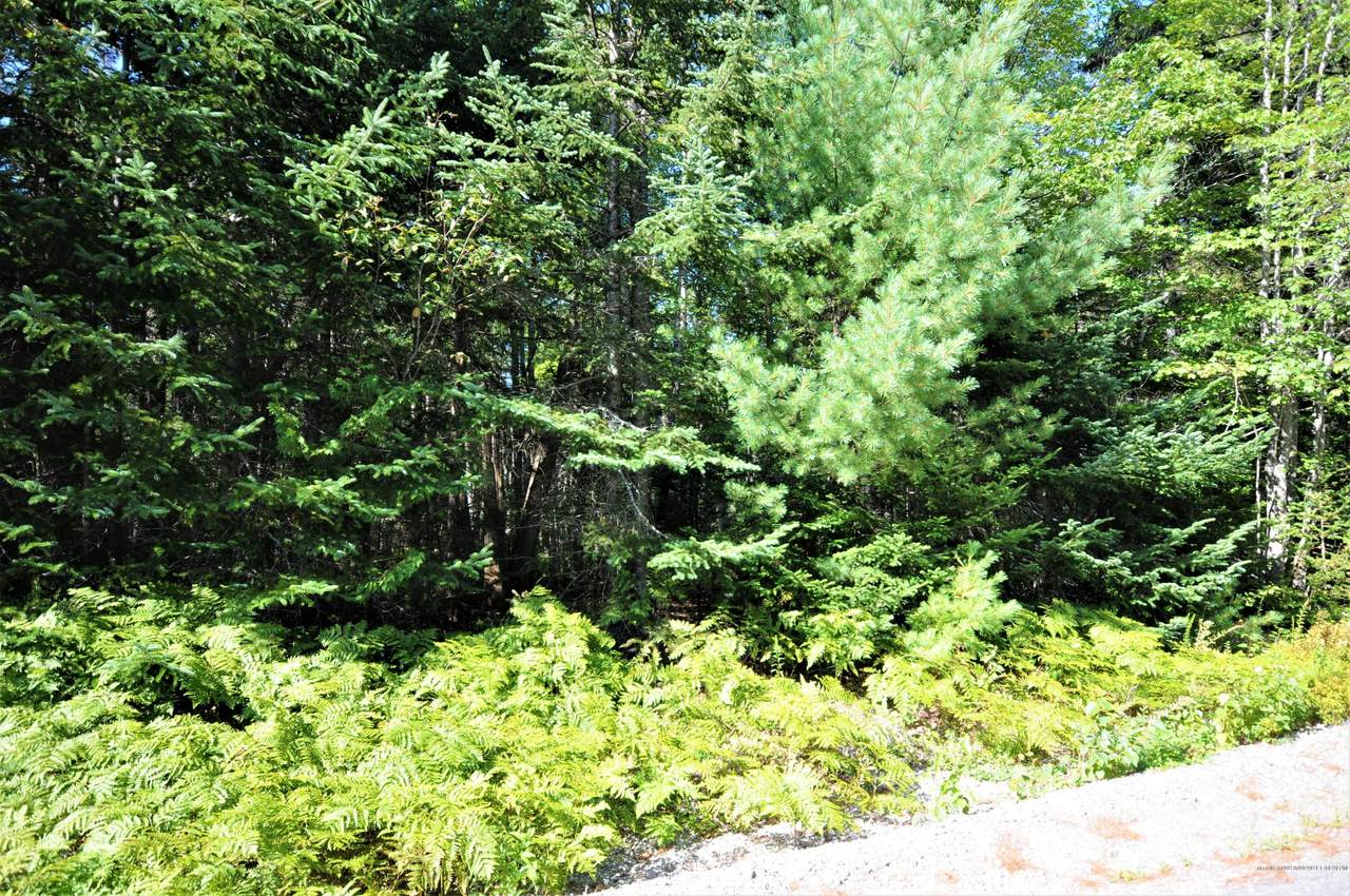 Lot 6 Grand View Road - Photo 1