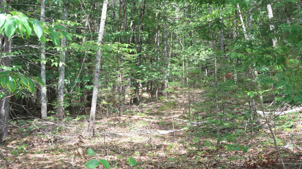 TBD Hankerson Road - Photo 1
