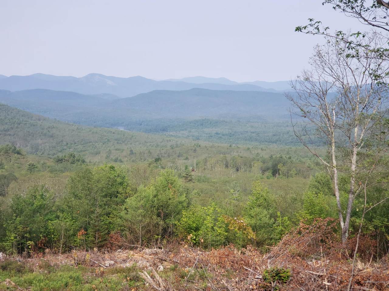 tbdLot B Mine Road - Photo 1