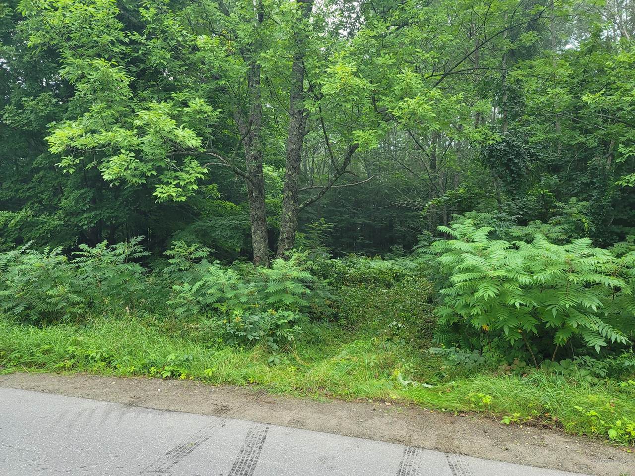 108 Green Road - Photo 1