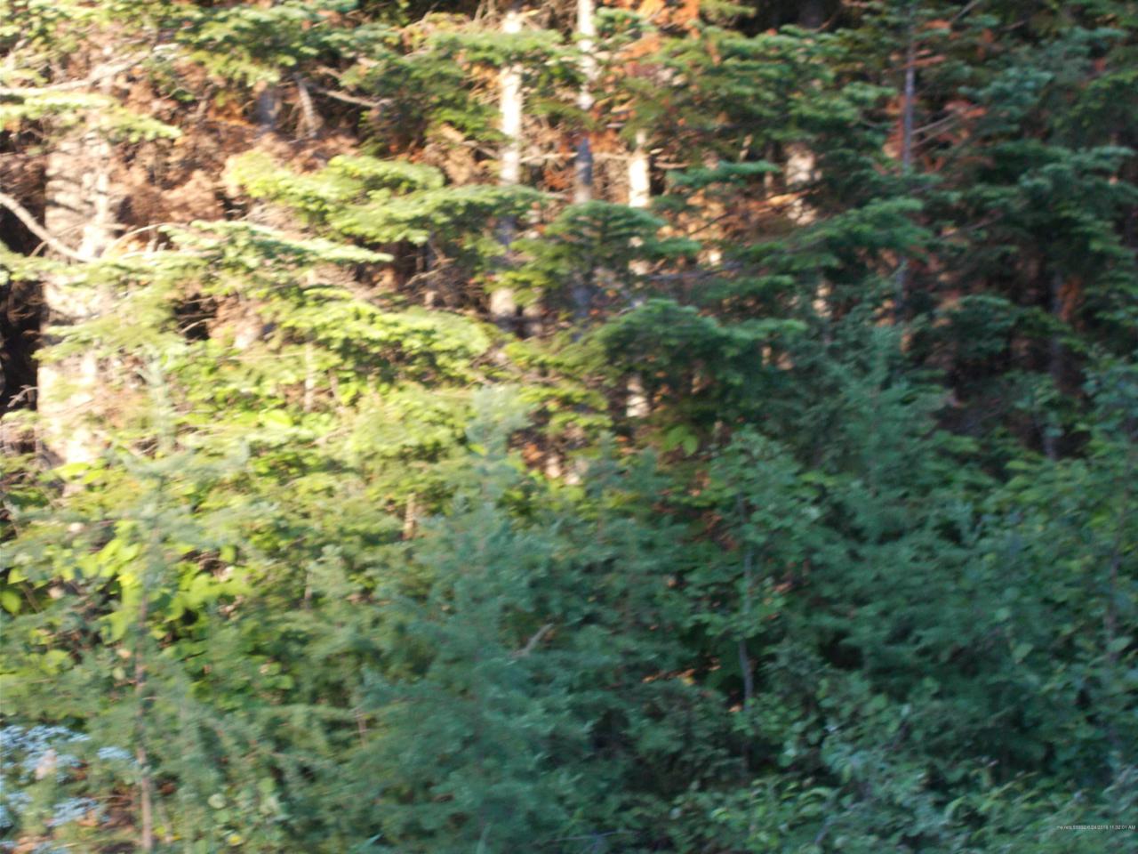 L22.1 Haney Road - Photo 1