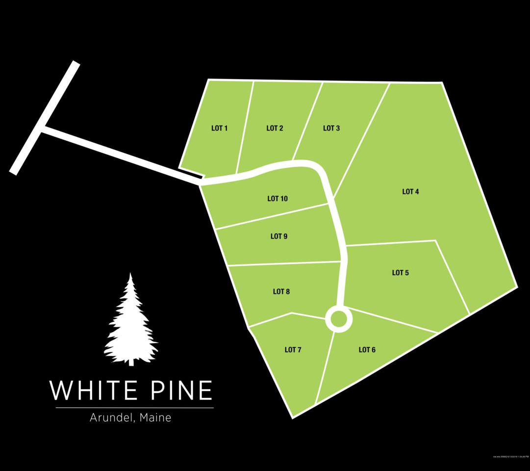 Lot 10 Conifer Way - Photo 1