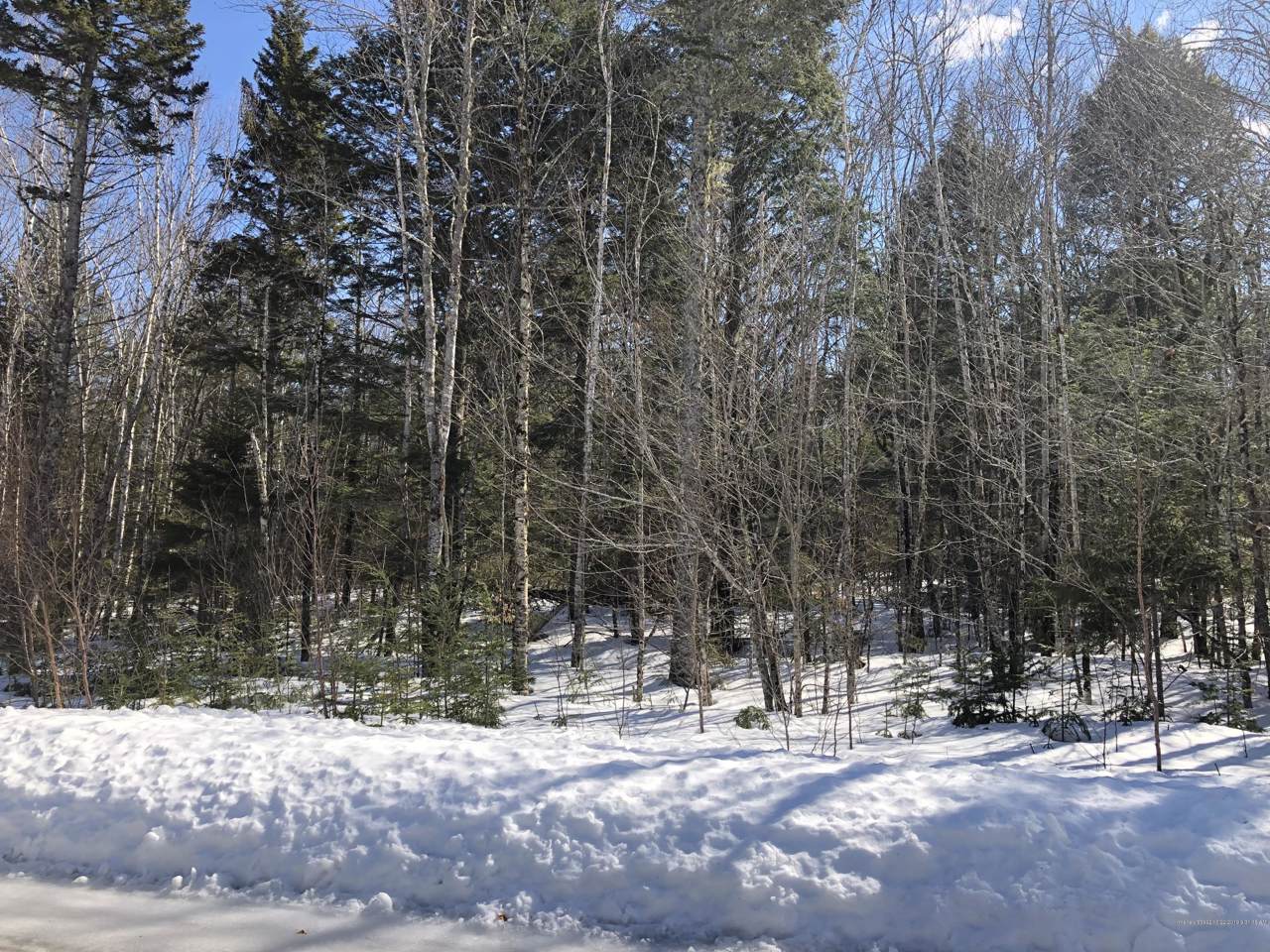 219 Sandy Acres Drive - Photo 1