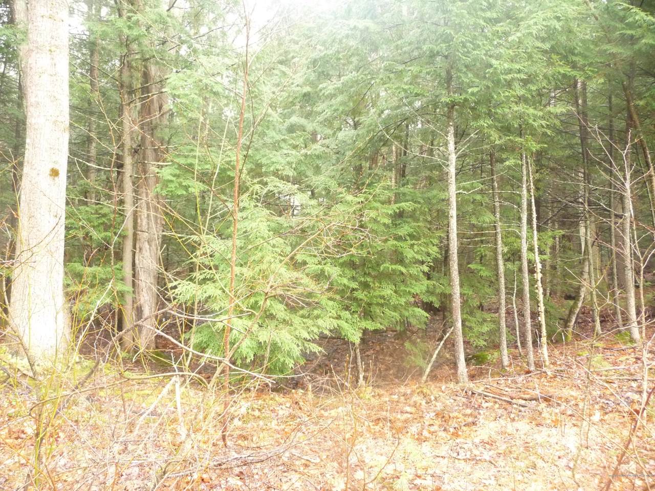 77-6 Greenland Drive - Photo 1