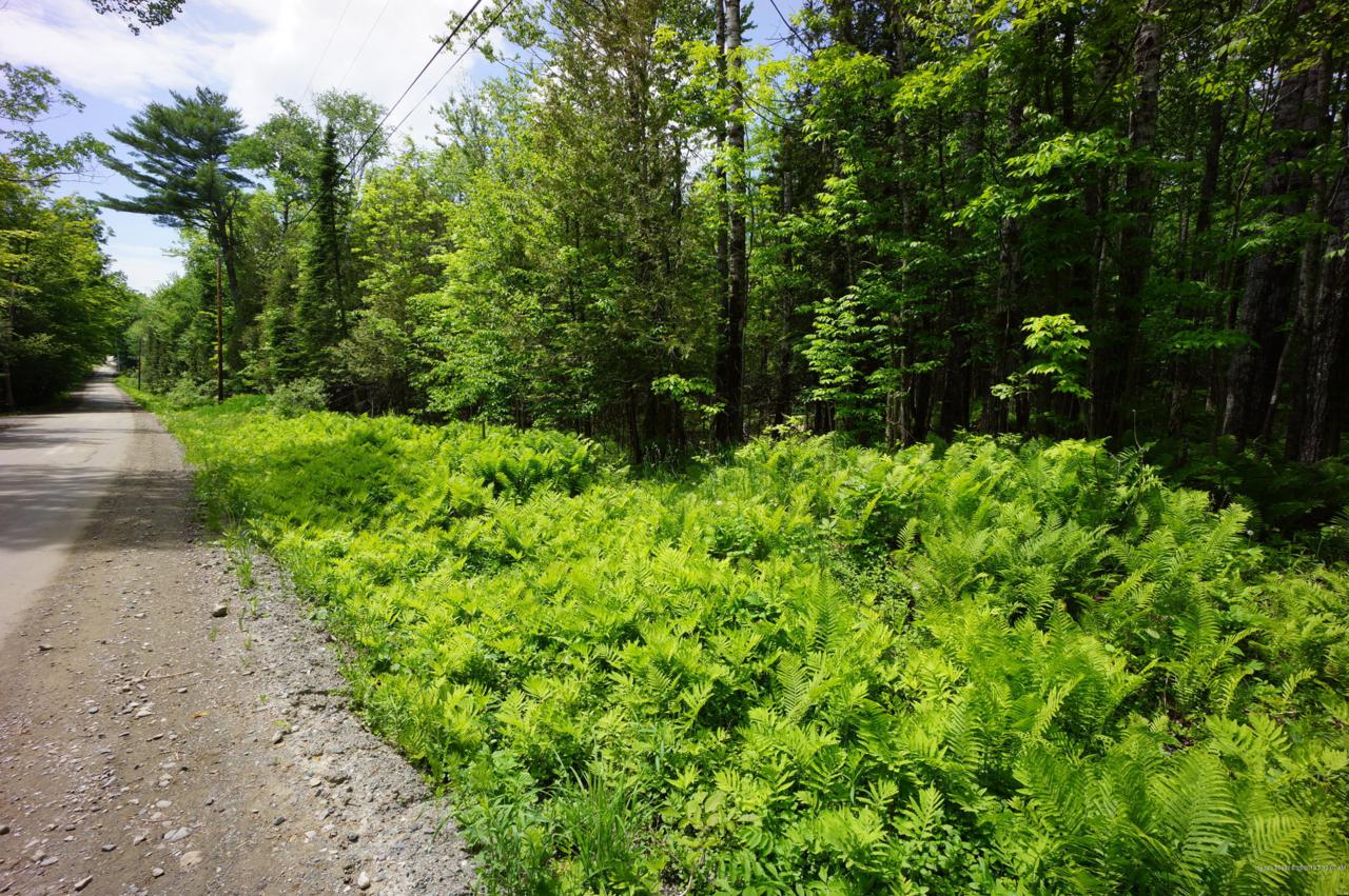 Lot 0 Bugbee Road - Photo 1