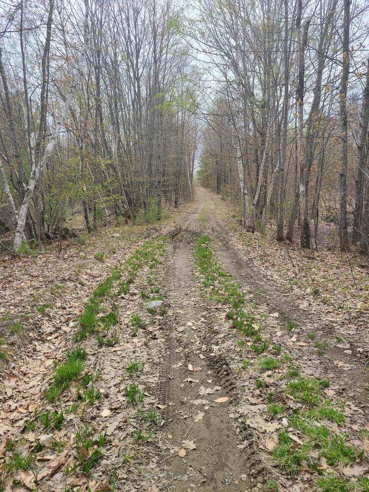 0 Little Wilson Pond Road - Photo 1