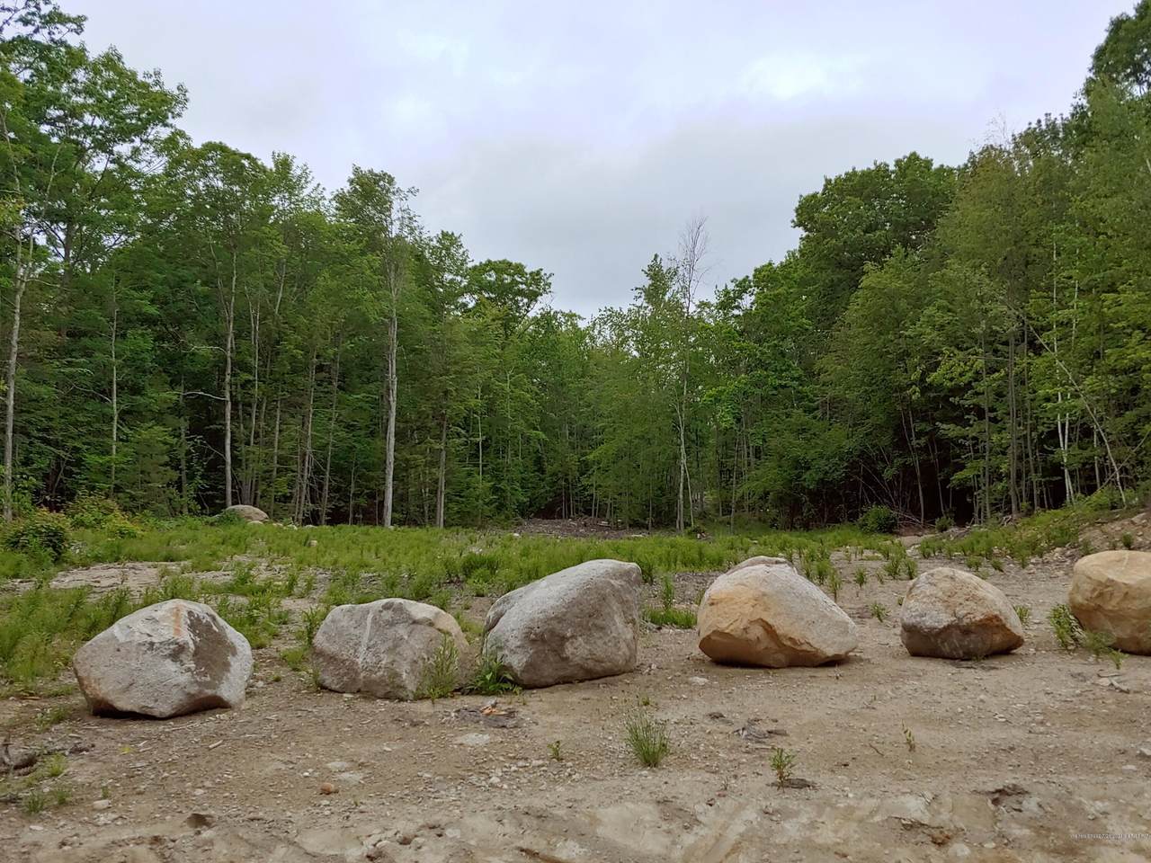 213 North Rochester Road - Photo 1