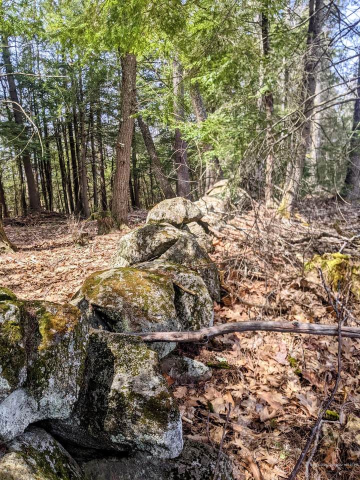 TBD Penney Road - Photo 1