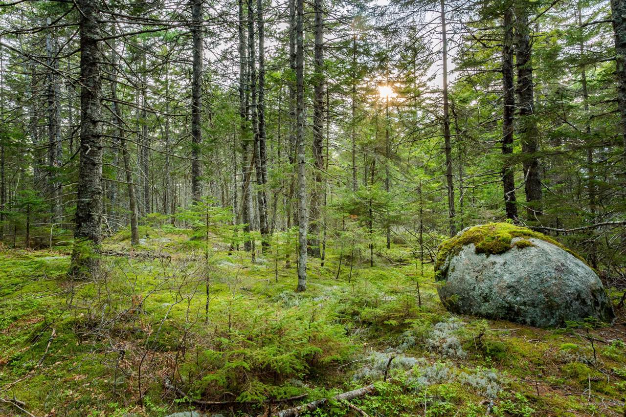 594 Indian Point Road - Photo 1