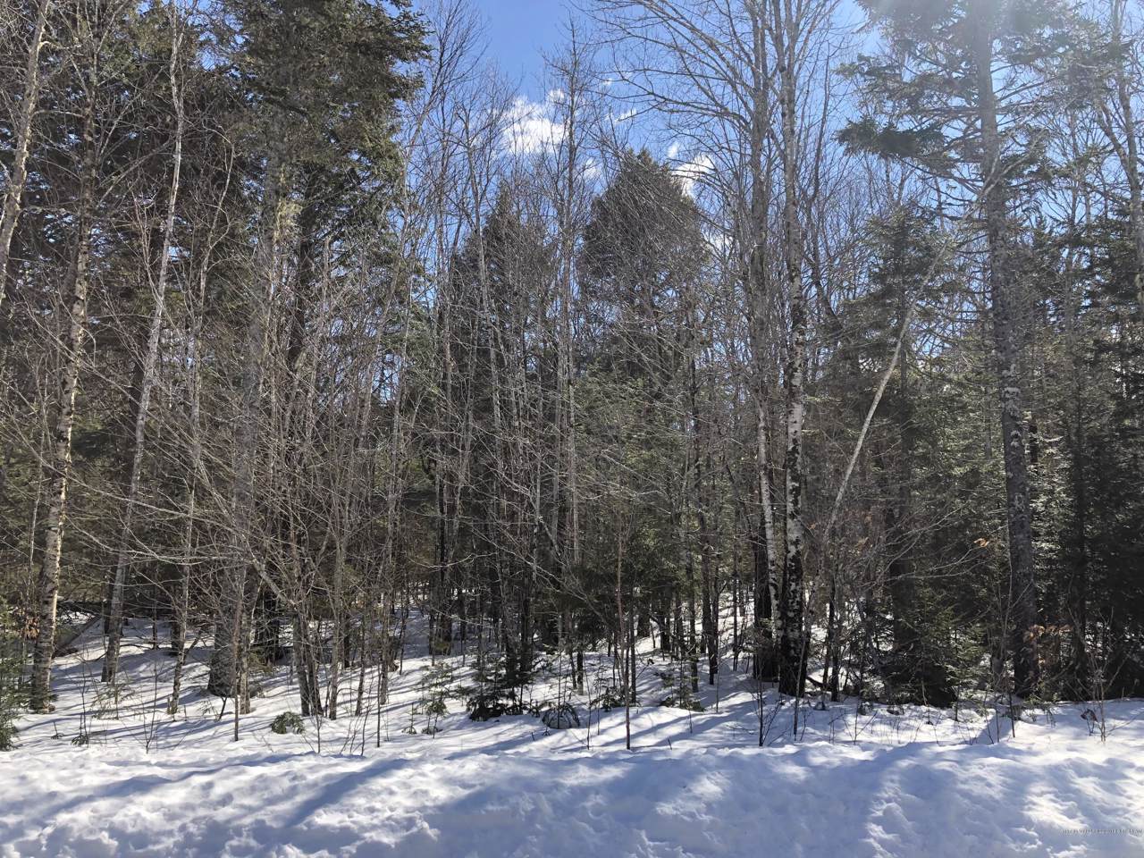 177 Sandy Acres Drive - Photo 1