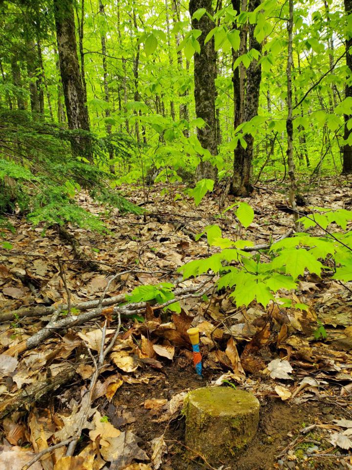 0 Lone Indian Trail - Photo 1