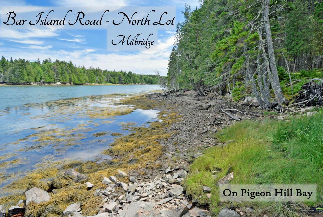 North Lot Bar Island Road - Photo 1